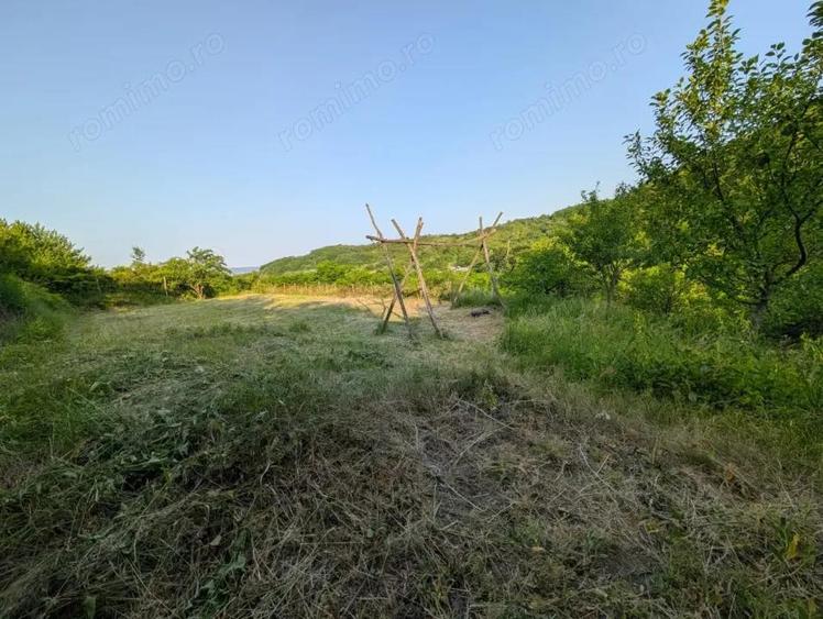 Sarata Bai- Oportunitate investi?ie- 4038 mp- priveli?te spectacol - 4