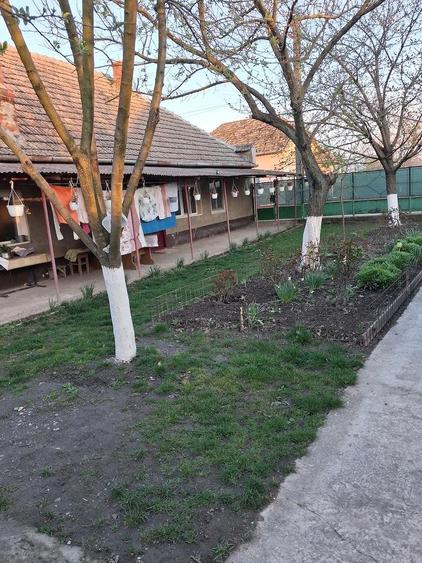 casa otelec - 5