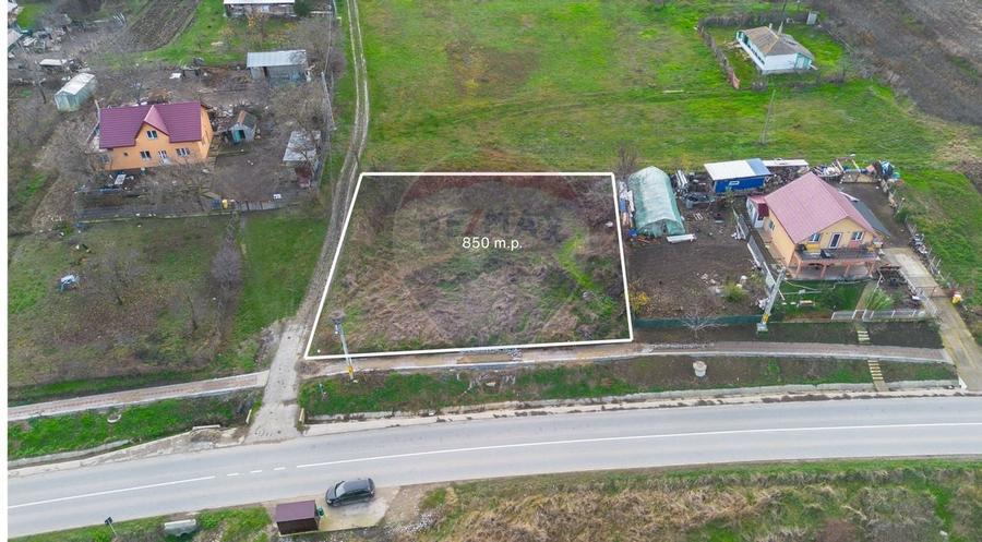 Teren 850mp Tomesti - 1