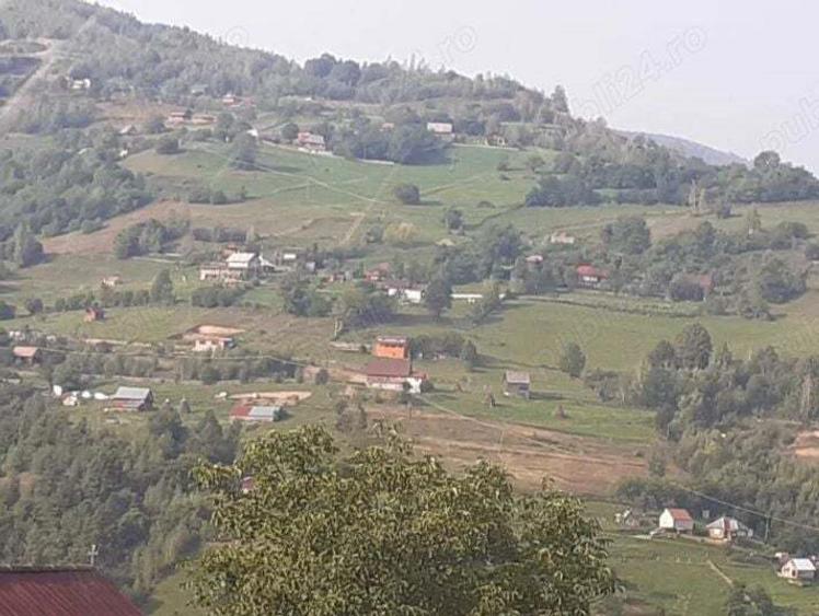 Cabana cu teren la munte - 1