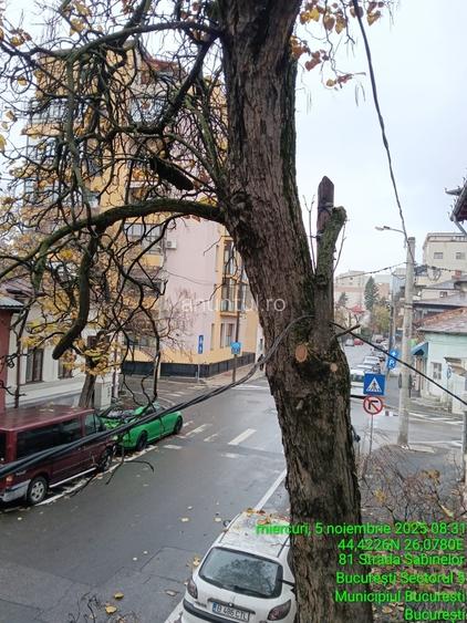 Cornetu, str. Teiului