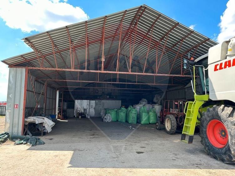 Ferma porcine la cheie - 23