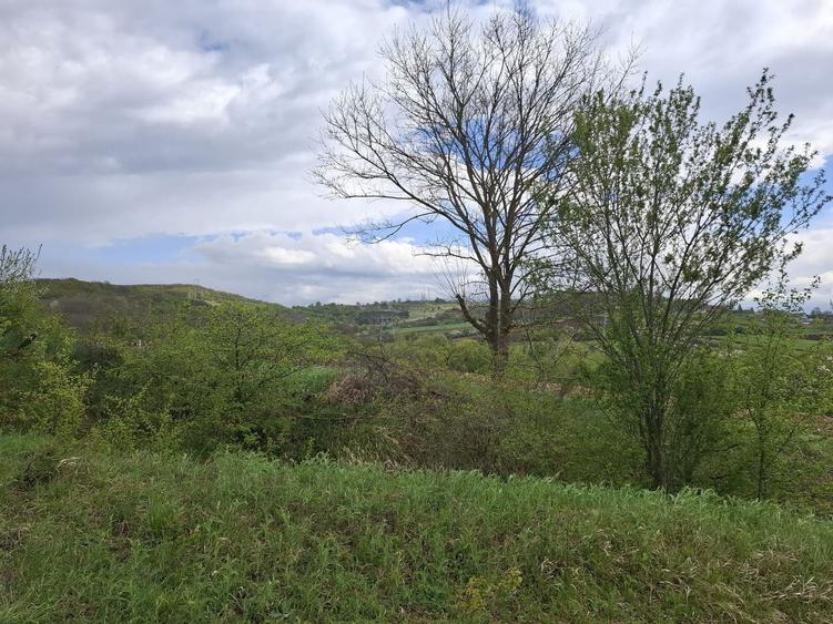 Teren intravilan de 400 mp, în Rășinari