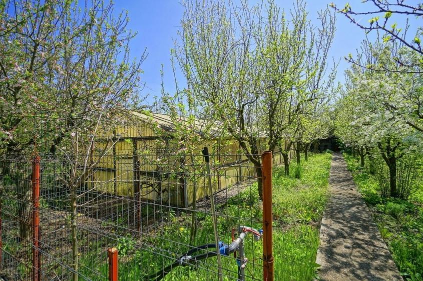 Casă individuală cu 22 camere cu Piscina în Bălteni
