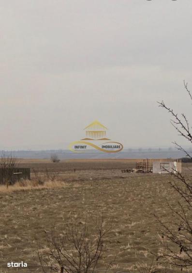 Teren de 1000 mp, în Săucești