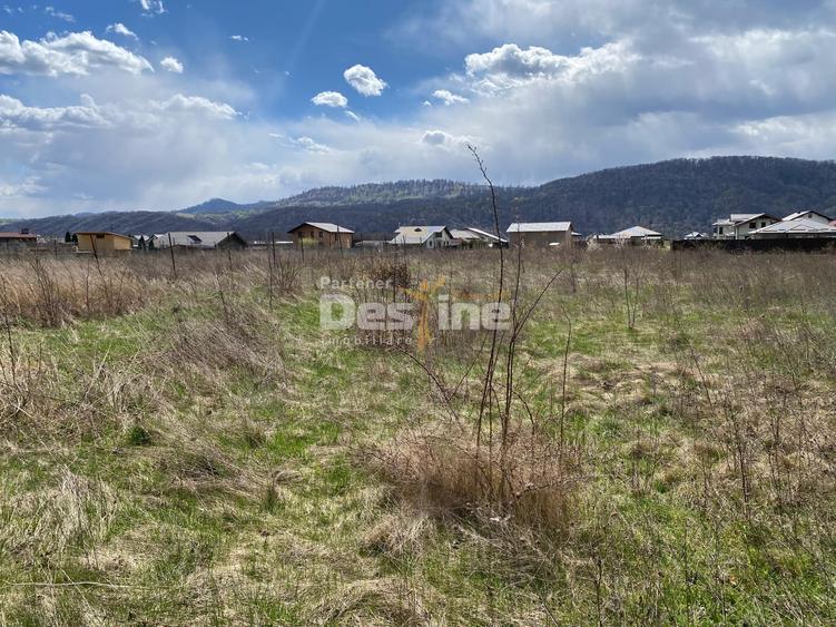 Teren Construcții intravilan de 900 mp, în Dumbrava Roșie