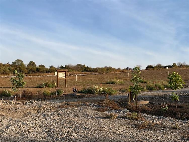 Teren intravilan de 500 mp, în Spitalul Județean