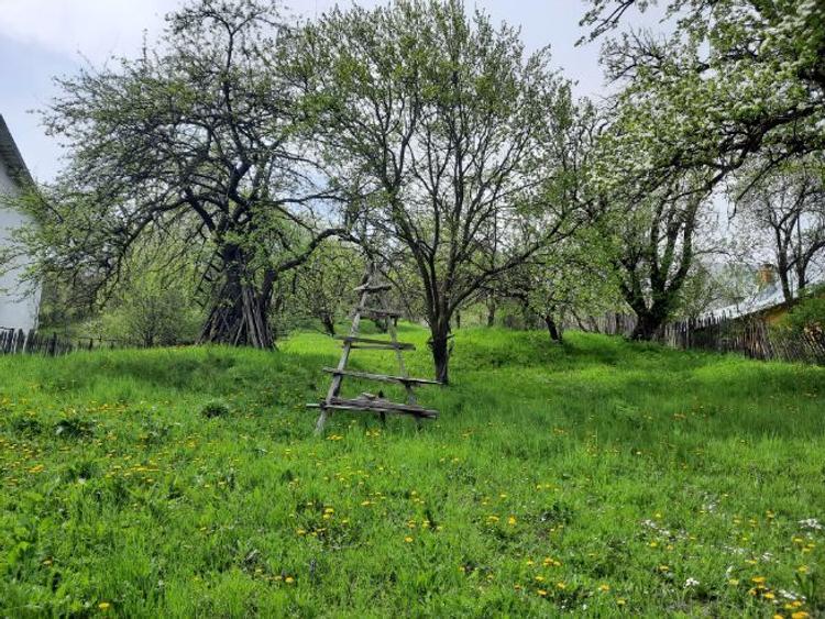 Teren intravil, VDRusu, Construcții, Investitie, La princip, Acte OK, Certif Urbanism  - 4