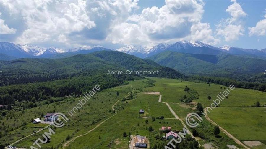 Teren intravilan de vanzare 3000 mp pe Valea Avrigului