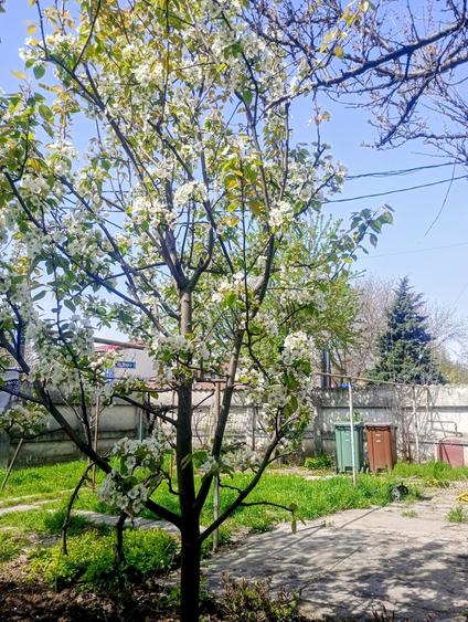 Jiului, Bucuresti - 9