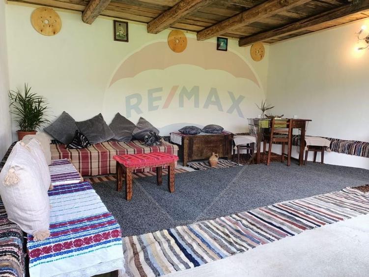 Vânzare casa la munte - zona turistica - Baia de Fier - 20