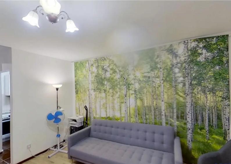 Garsoniera moderna, etaj intermediar, cadru natural, Noua Br - 3