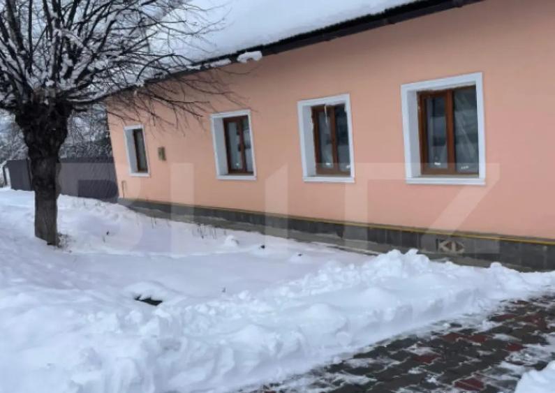 Casa de Vanzare in Teaca de 3 camere cu 12 arii teren - 5