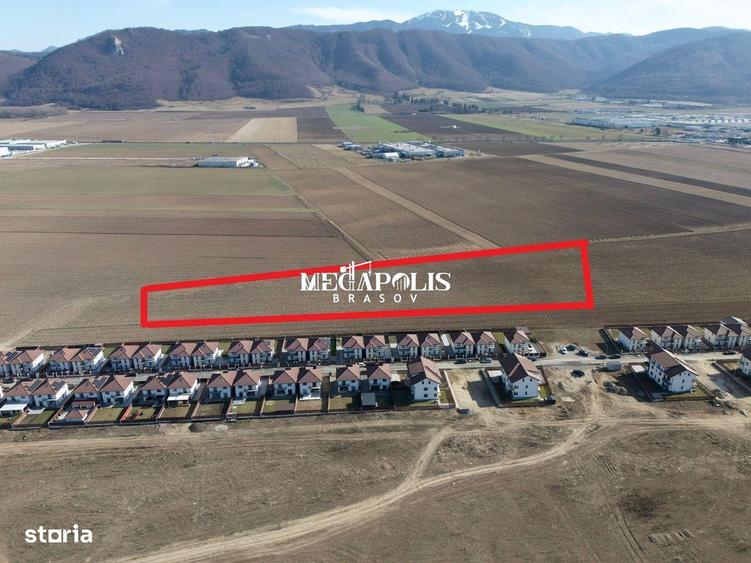 Teren 12.500 mp Ghimbav Cartierul Florilor | Ghimbav - 6