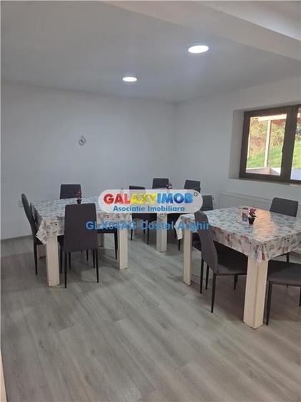 Vindem vila-pensiune in Budeasa P+E , mobilata si utilata - 18