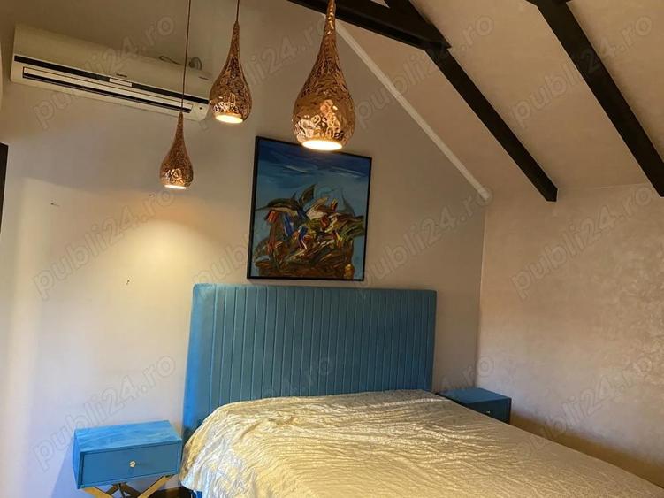 VILA 400 mp Ghe. Grigore Cantacuzino - 3