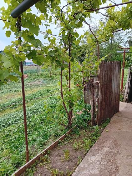 Vand casa din paianta si teren 700m - 6