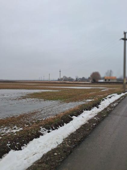 Vand loc de casa in Zvoristea 36 ari - 4