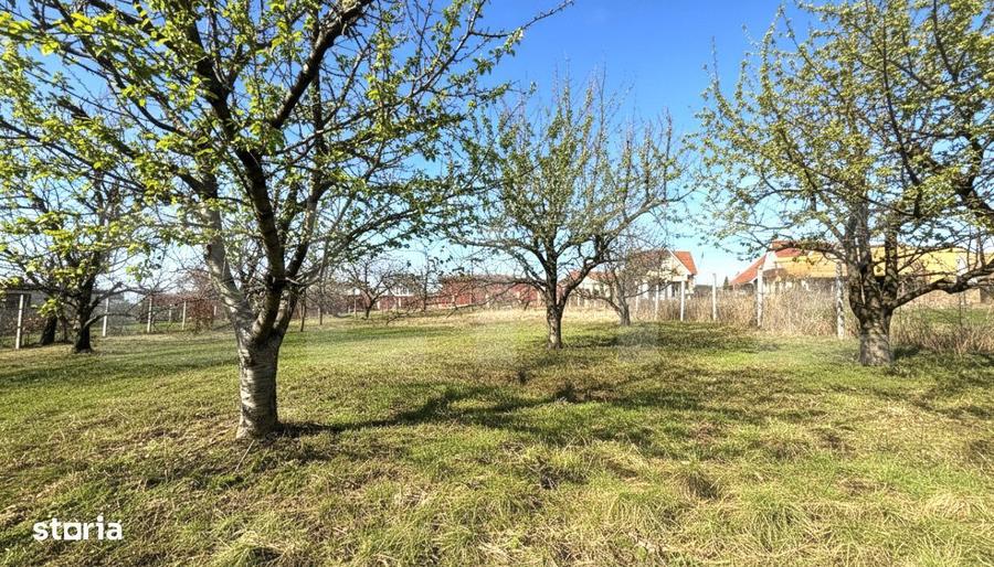 Teren cu dubla-deschidere, Paleu, 1000mp - 1