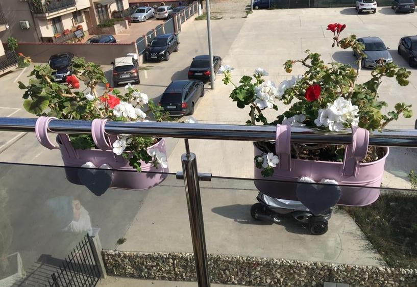 Apartament Superb 3 Camere Fundeni - Dobroesti - 24