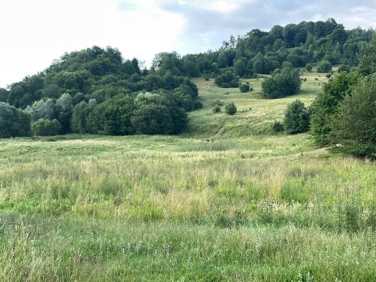 Teren intravilan unic dezvoltare turistica PUZ S+D+P+2,3M hotel, case de vacanta - 10