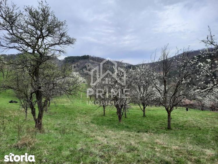 TEREN INTRAVILAN 13700 MP, INURI, VINTU DE JOS - 5