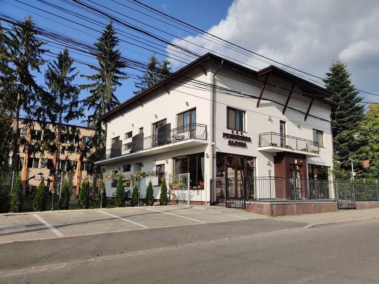 Spatiu multifunctional de inchiriat zona centrala Pucioasa - 2