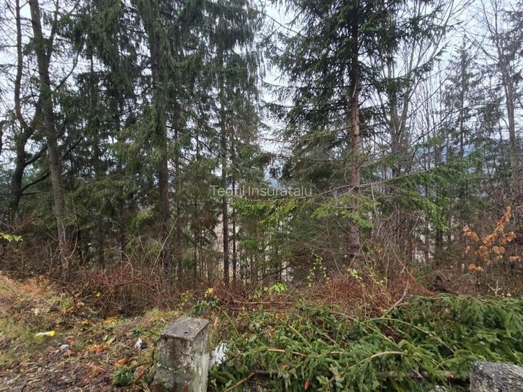 Teren de vanzare Hangu. Intravilan. Deschidere la LAC