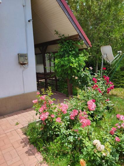 Casa P+M  6  camere + Sat Prunaru Jud Teleorman  la 49 km de Bucuresti - 5