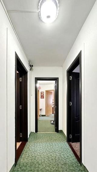 Zona centrala - suprafata generoasa - 11