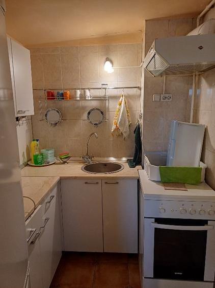 Apartament 2 camere-la vila- ultracentral- langa Aula Universitatii  - 10