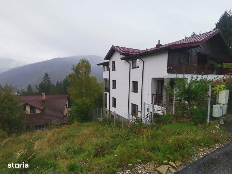 SINAIA, VAND 492 MP IN CARTIERUL TIRUL CU PORUMBEI, PROPRIETAR - 2