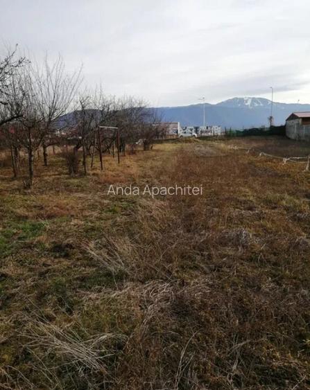 Teren 934 mp Ghimbav
