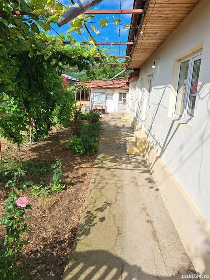 casa vanzare Topliceni, judet Buzau - 2