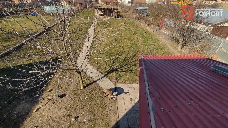 COMISION 0% Casa individuala 8 camere, Sacalaz - Pivnita, teren 1198 mp, asfalt - 22