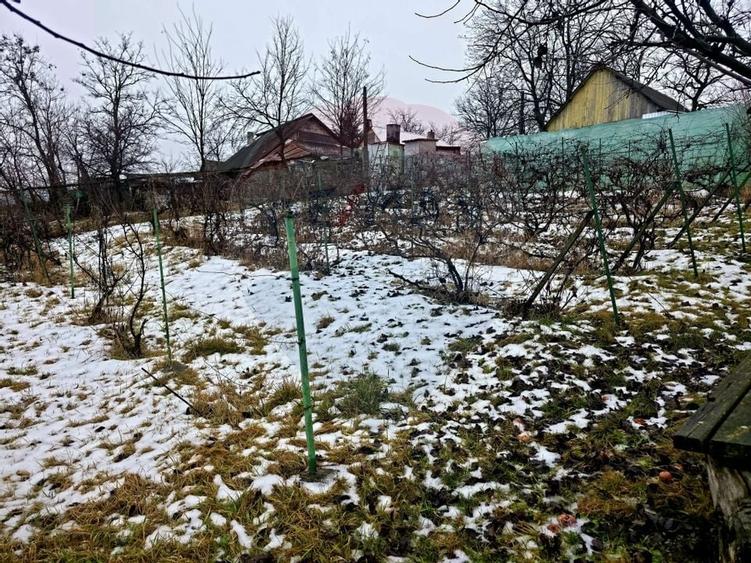 Teren intravilan 4,516mp Doina - 31