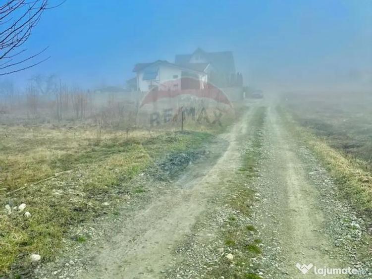 Teren 500mp Turturesti / Strada Principala - 3