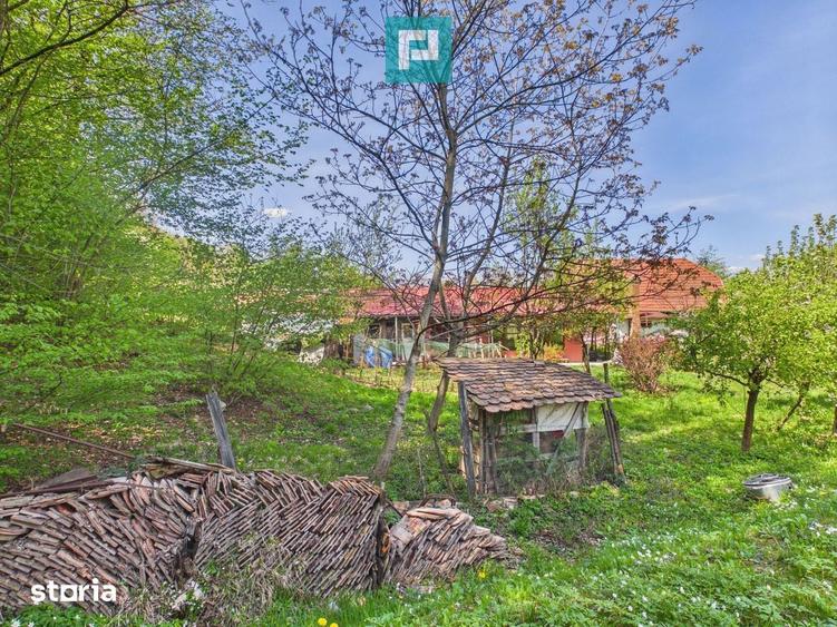 Casa Campani, 8000 mp teren, la poalele Apusenilor - 6