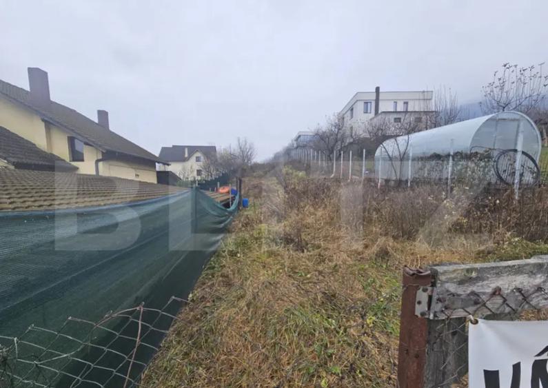 Teren intravilan de vanzare, 1600 mp - Viisoara - 1