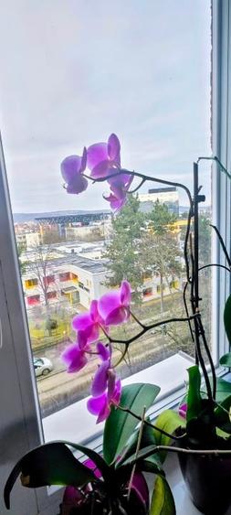 Vând apartament cu trei camere - 1