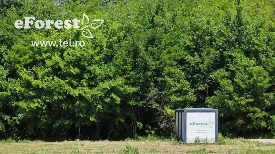 Profita acum de oferta de Pa?te! Teren aproape de natura ?i Bucure?ti, acces din DN1A, eForest - 10