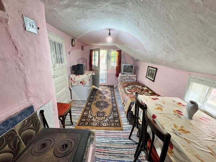 Casă traditionala cu potential de vânzare-HEMEIUS - 14