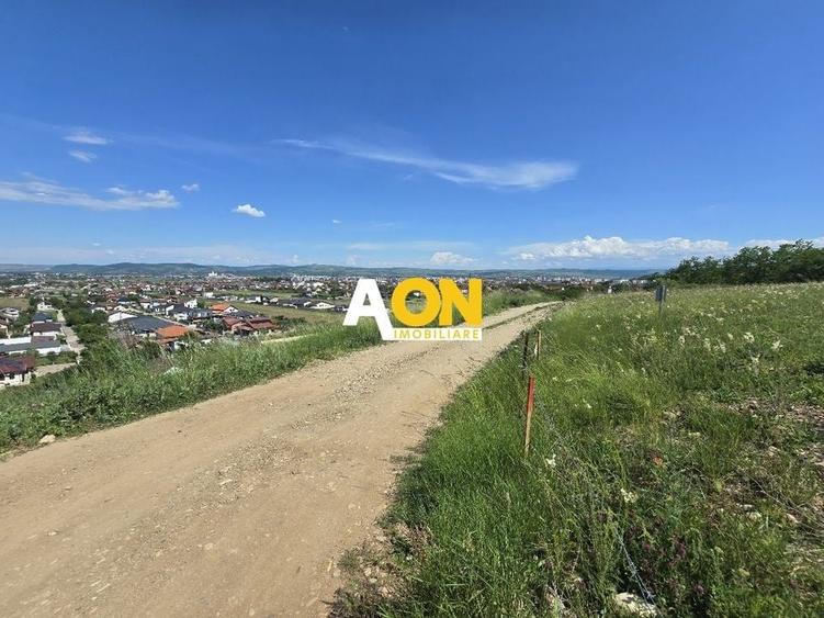 Teren Superb! 712mp Toate Utilitatile, Zona Cetate - 4