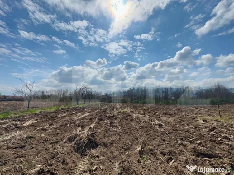 Teren intravilan de vanzare, 1500 mp, zona ?oimu? - 2