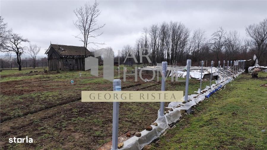 Vanzare 590 mp Teren+ Fundatie Casa Baicoi - 7