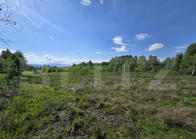 Teren extravilan 13103 mp in Dealu Mare! Oportunitate invest - 5