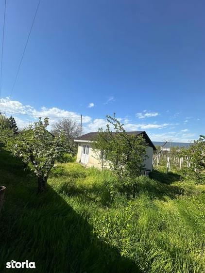 Vand loc de casa - 8
