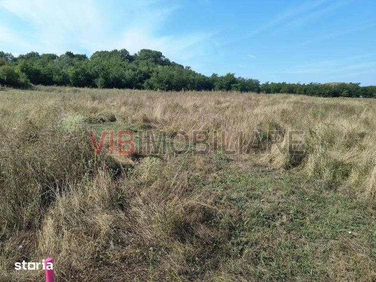 Teren de 7500 mp, în Central