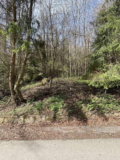 Teren deosebit de vânzare în Sinaia – cartier exclusivist Furnica. - 3