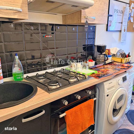 | Apartament cu 2 camere | I.C.Frimu, Masnita | Mobilat si Utilat | - 2